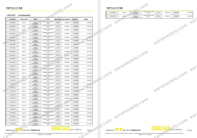 Spain Masmovil internet utility  bill Word and PDF formats, 6 pages..
